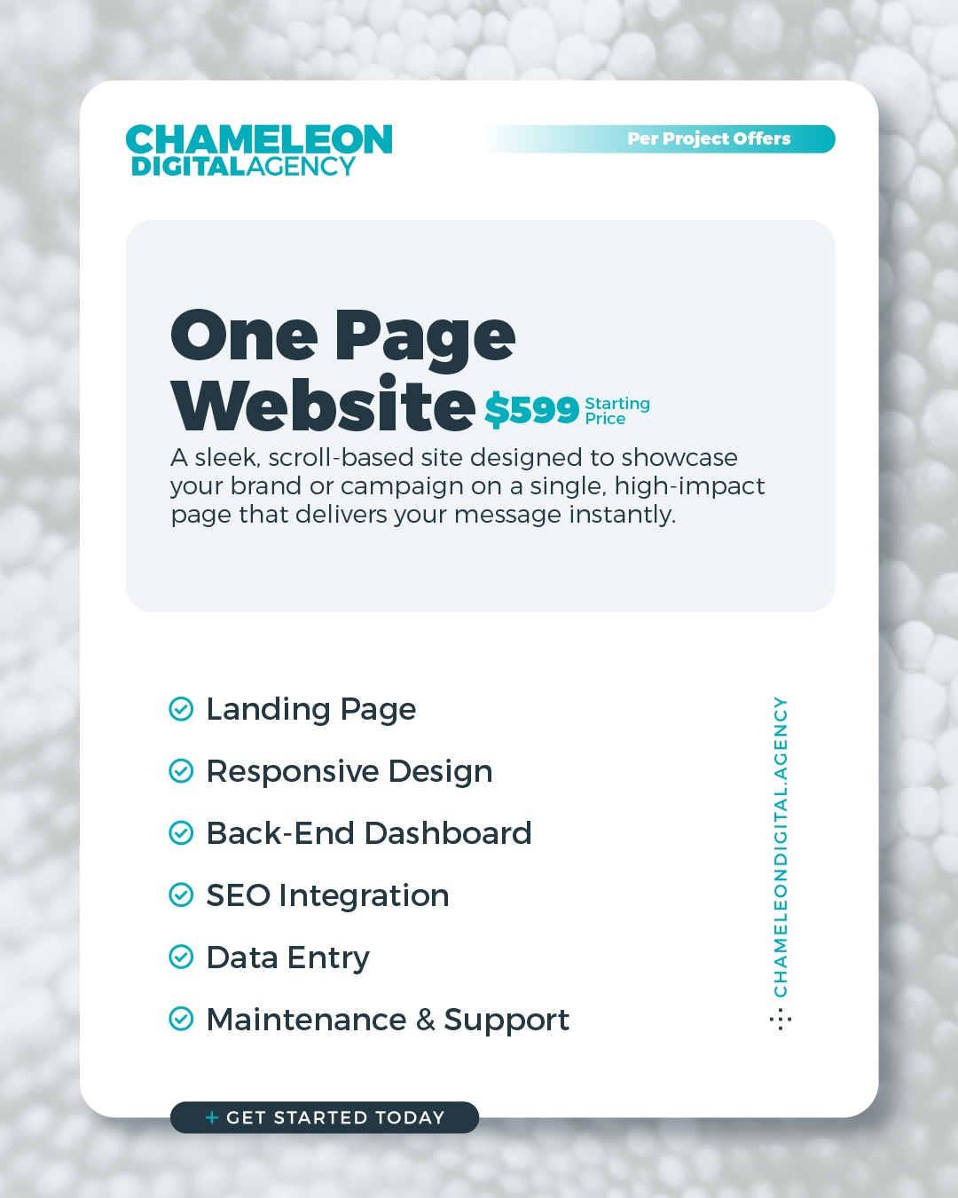 FINDIN CHAMELEON DIGITAL AGENCY PACKAGES PER PROJECT